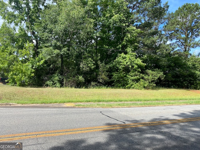 Listing photo 3 for 0 Hannah St Lot 1, Barnesville GA 30204