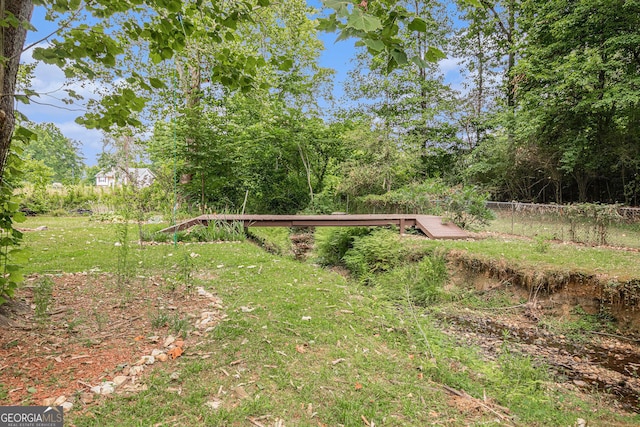 104 Streambank Ct, Temple, GA 30179 - view of yard