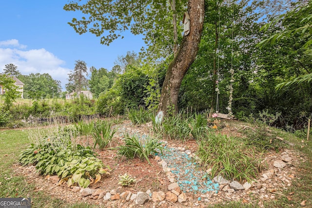 104 Streambank Ct, Temple, GA 30179 - view of nature