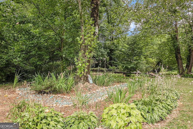 104 Streambank Ct, Temple, GA 30179 - view of undeveloped land