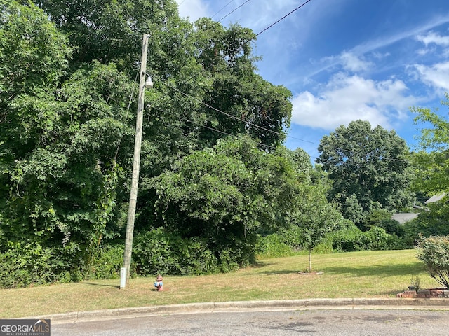 Listing photo 3 for 0 Hannah Ct Lot 10, Barnesville GA 30204