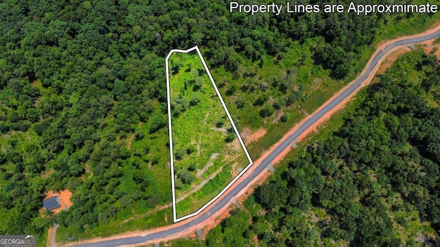 196197 Oak Park Dr, Talking Rock, GA 30175