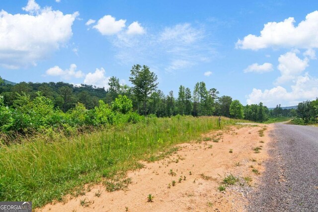 196197 Oak Park Dr, Talking Rock, GA 30175
