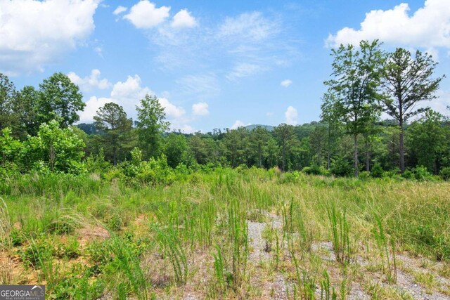 196197 Oak Park Dr, Talking Rock, GA 30175