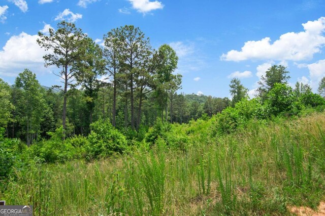 196197 Oak Park Dr, Talking Rock, GA 30175