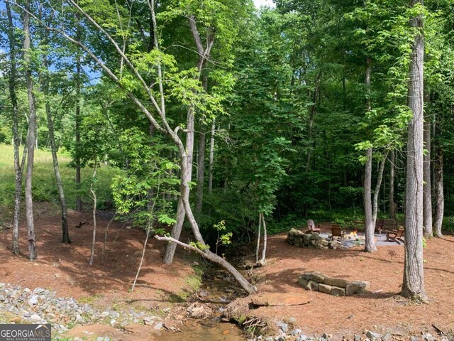 196197 Oak Park Dr, Talking Rock, GA 30175