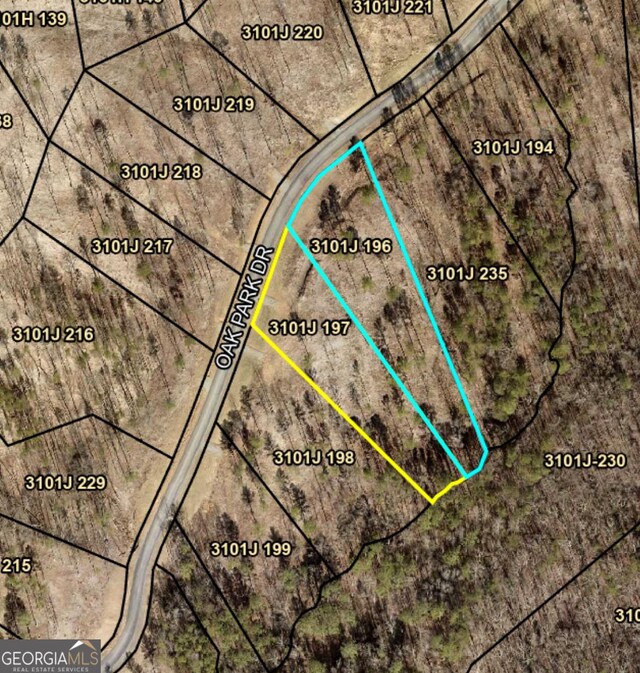 196197 Oak Park Dr, Talking Rock, GA 30175