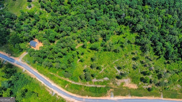 196197 Oak Park Dr, Talking Rock, GA 30175