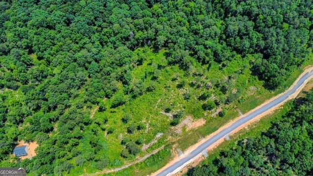 196197 Oak Park Dr, Talking Rock, GA 30175