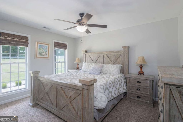 1985 Roscoe Rd, Newnan, GA 30263 - bedroom with visible vents, light carpet, baseboards, and multiple windows