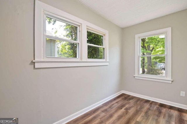 spare room with dark hardwood / wood-style flooring and plenty of natural light