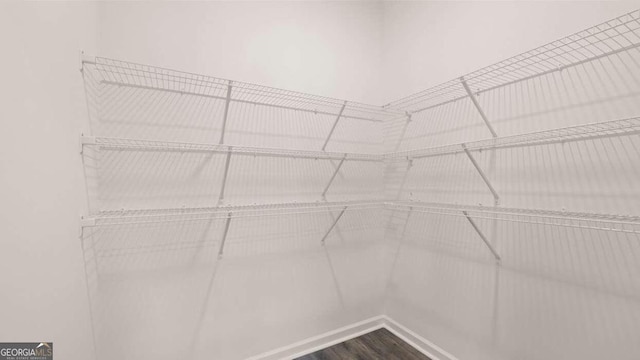 walk in closet featuring wood-type flooring