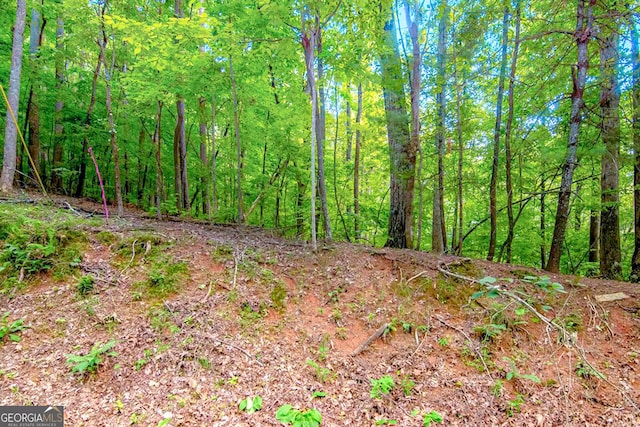 LTJ350 Walnut Mtn, Ellijay, GA 30540
