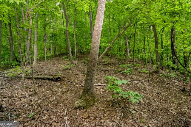 LTJ350 Walnut Mtn, Ellijay, GA 30540