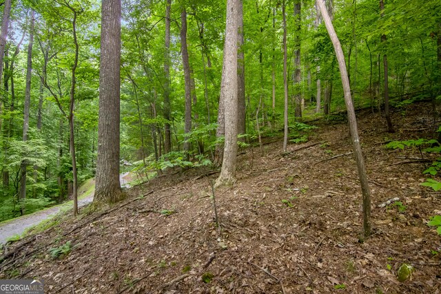 LTJ350 Walnut Mtn, Ellijay, GA 30540