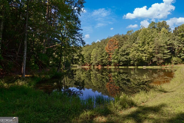 LTJ350 Walnut Mtn, Ellijay, GA 30540