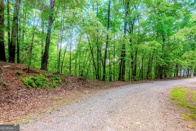 LTJ349 Walnut Mtn, Ellijay GA, 30540 land for sale