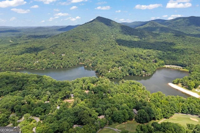 drone / aerial view with a water and mountain view