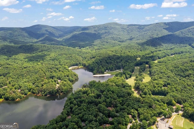 drone / aerial view featuring a water and mountain view