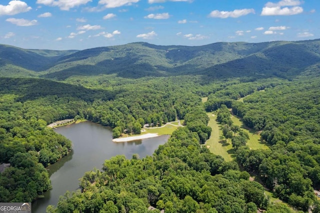 drone / aerial view with a water and mountain view