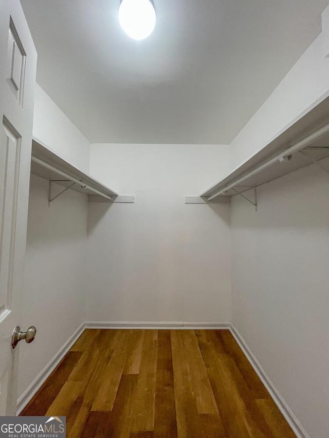 spacious closet with hardwood / wood-style floors