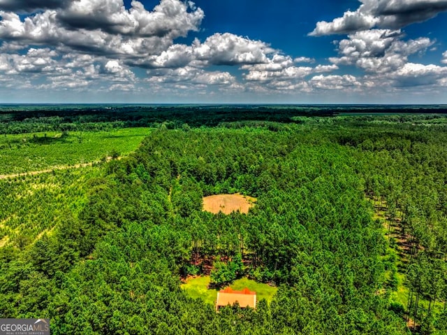 1114 N Riddle Rd, Sandersville GA, 31082 land for sale