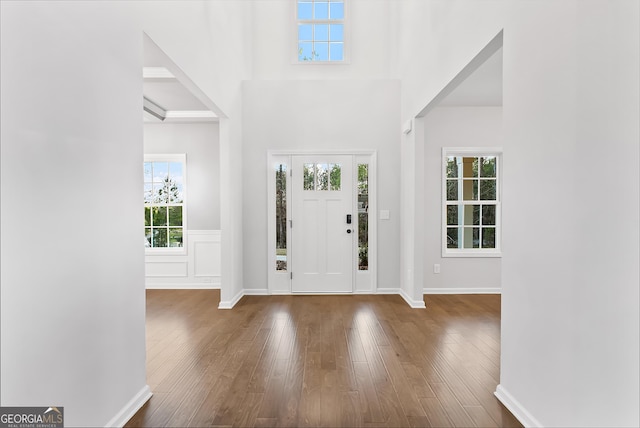 foyer entrance with a towering ceiling and wood-type flooring