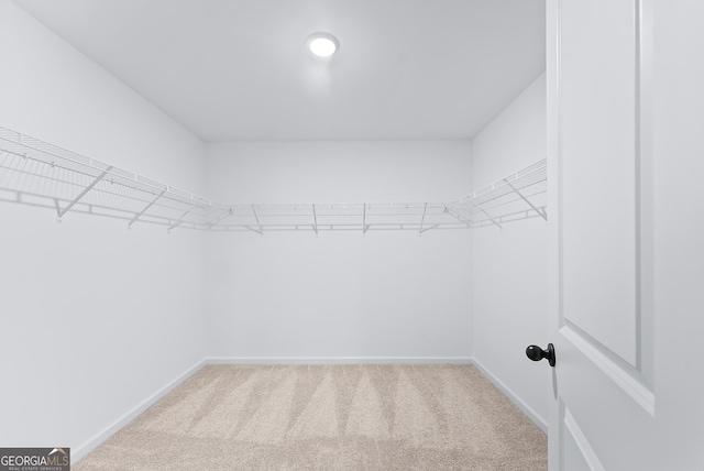 spacious closet with light carpet