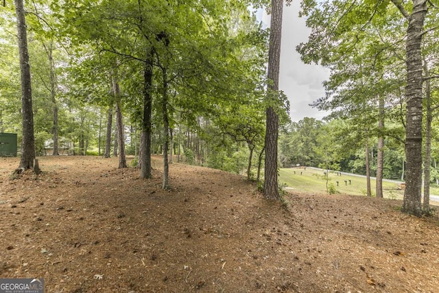 101 Huntington Dr, Dublin, GA 31021 - view of nature