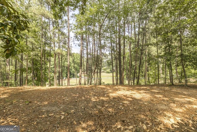 101 Huntington Dr, Dublin, GA 31021 - view of landscape