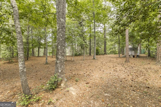 101 Huntington Dr, Dublin, GA 31021 - view of local wilderness