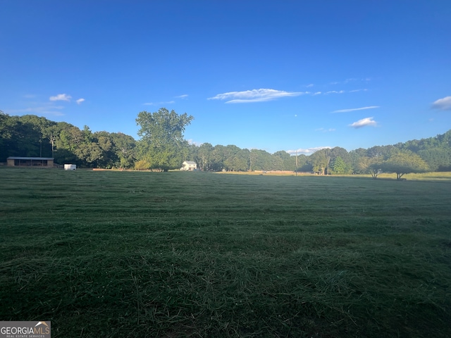 view of yard with a rural view