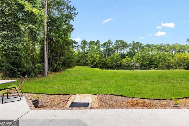 view of home's community with a lawn