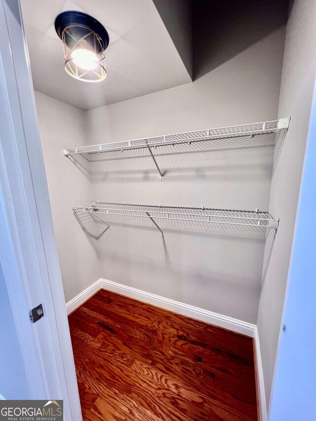 walk in closet featuring wood-type flooring