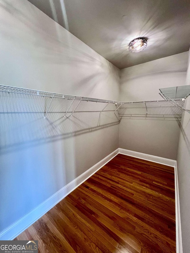 spacious closet with hardwood / wood-style flooring