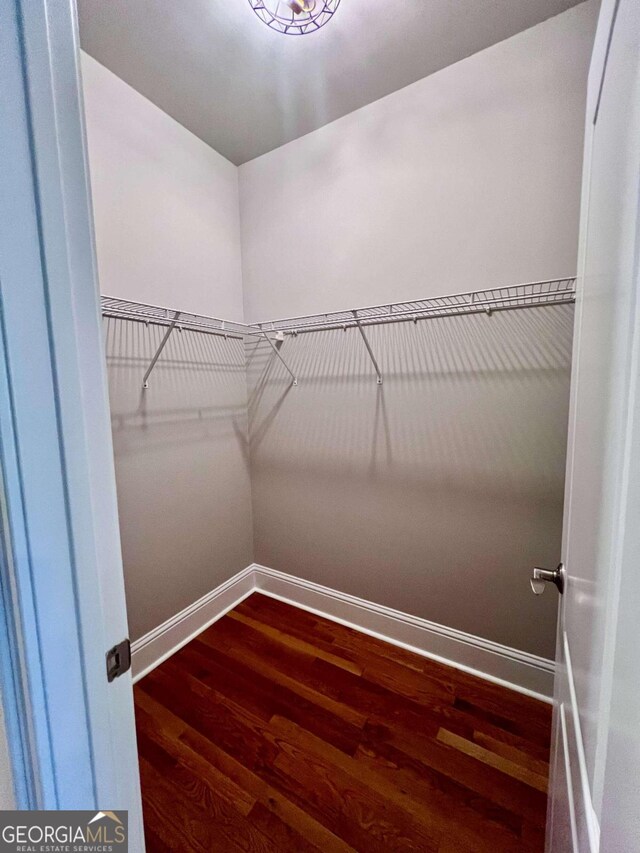 walk in closet with wood-type flooring