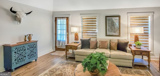 living room with wood-type flooring