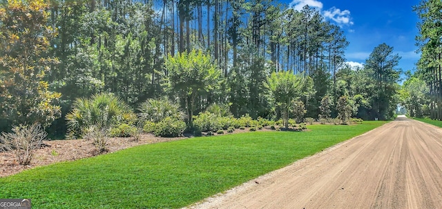 view of nearby features featuring a lawn