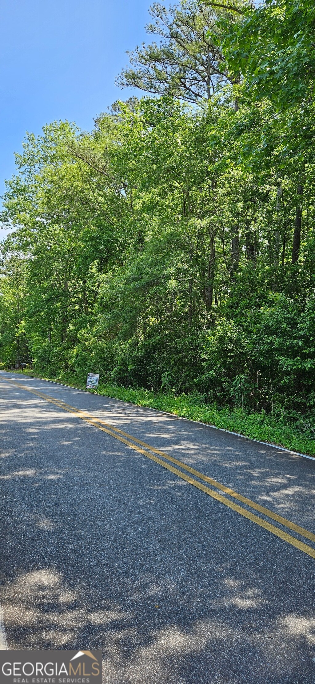 0 Rawley Rd, Americus, GA 31719