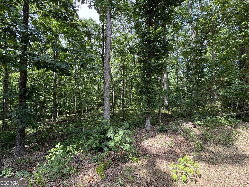 105 Skyview Dr, Social Circle, GA 30025