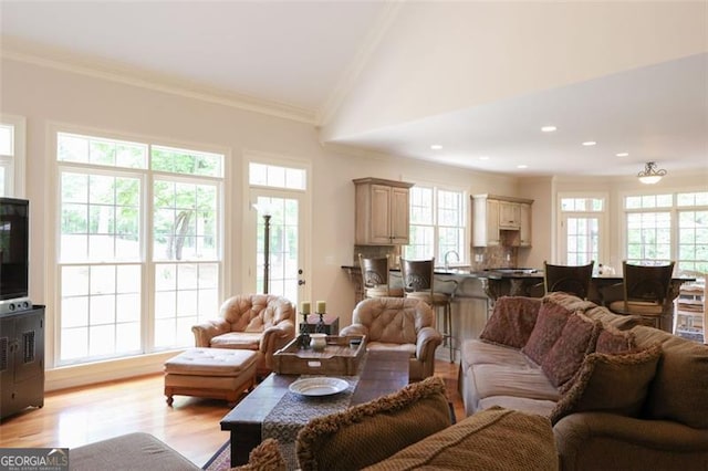 living room with ornamental molding, a healthy amount of sunlight, and light wood-type flooring