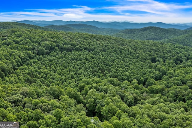 property view of mountains