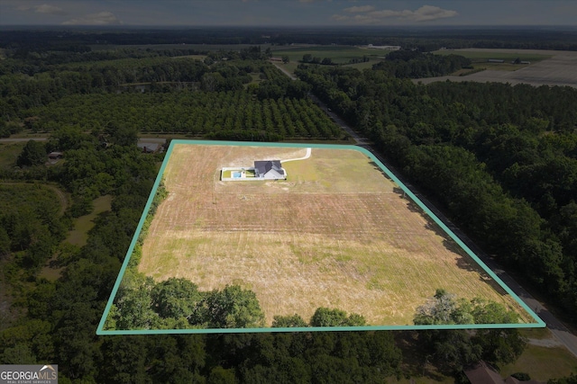 2879 Lakeview Rd, Statesboro, GA 30461 - overview of rural landscape with property boundaries highlighted and a forest