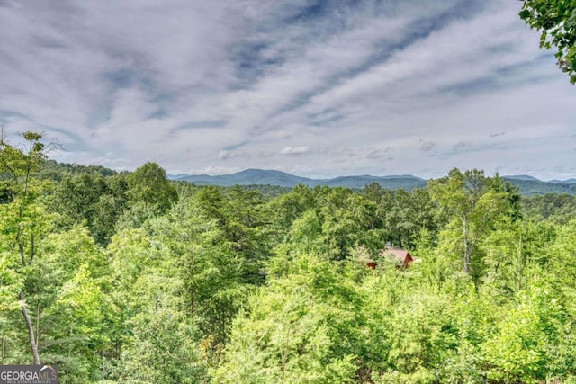 view of mountain feature with a forest view