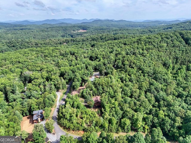 birds eye view of property featuring a forest view and a mountain view