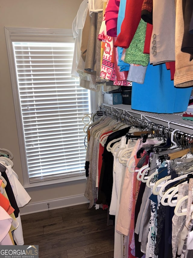 spacious closet featuring dark hardwood / wood-style flooring