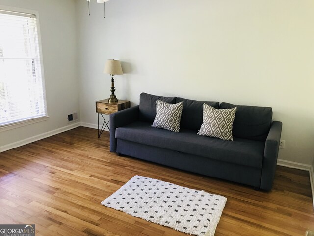 living room featuring hardwood / wood-style floors