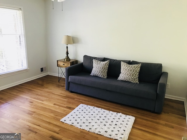 living room with hardwood / wood-style flooring and plenty of natural light