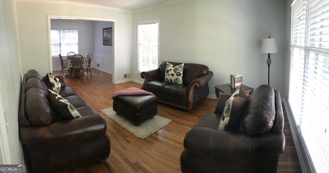 living room featuring wood-type flooring