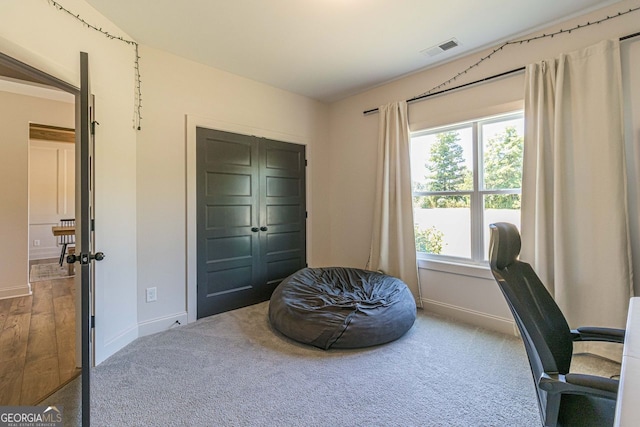 carpeted home office featuring a wealth of natural light